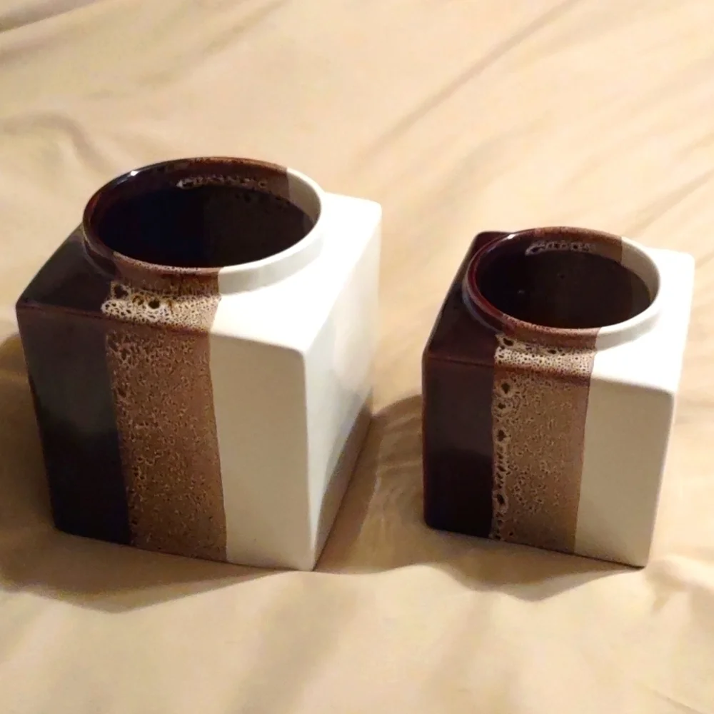 𝅺Pier 1 Ceramic Vases; Set of 2